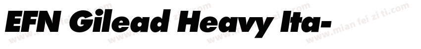 EFN Gilead Heavy Ita字体转换